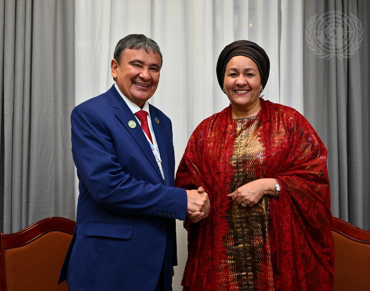 UN Food Systems Summit Africa 2025 Addis Ababa conference hall delegates African Union United Nations